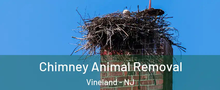 Chimney Animal Removal Vineland - NJ