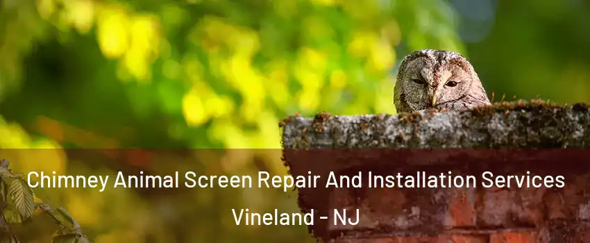  Chimney Animal Screen Repair And Installation Services Vineland - NJ