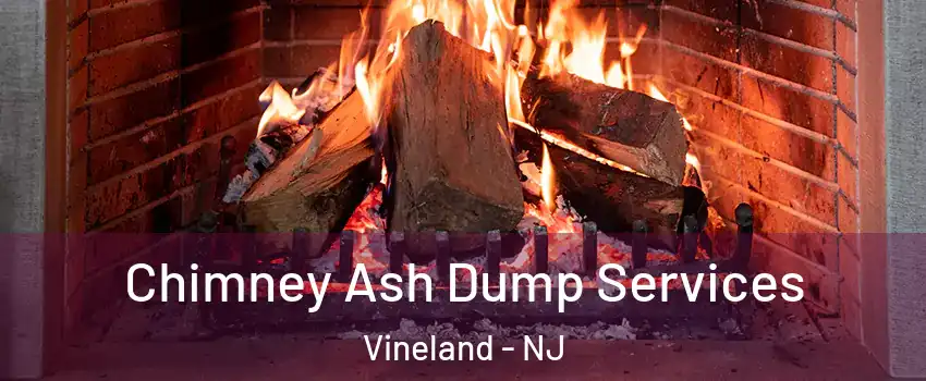  Chimney Ash Dump Services Vineland - NJ