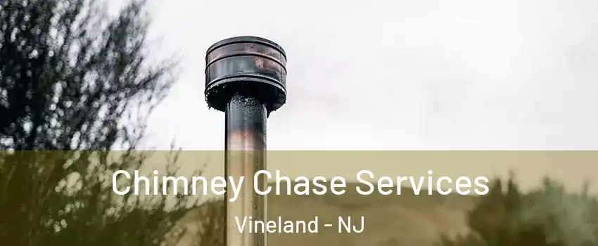  Chimney Chase Services Vineland - NJ
