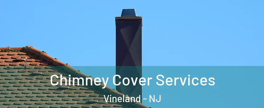  Chimney Cover Services Vineland - NJ