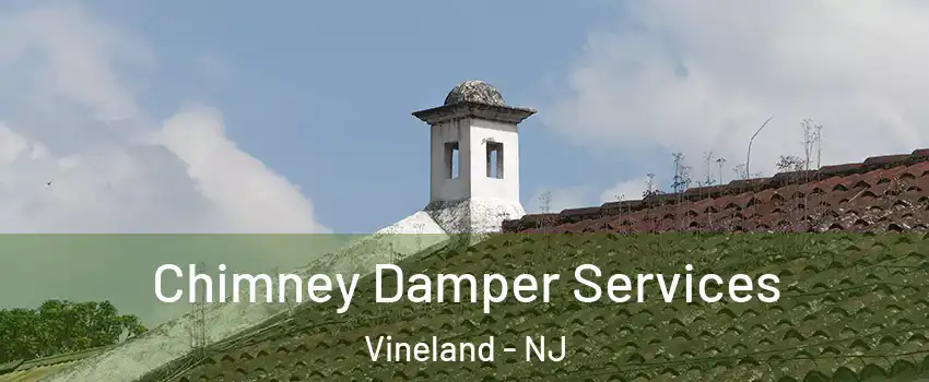  Chimney Damper Services Vineland - NJ