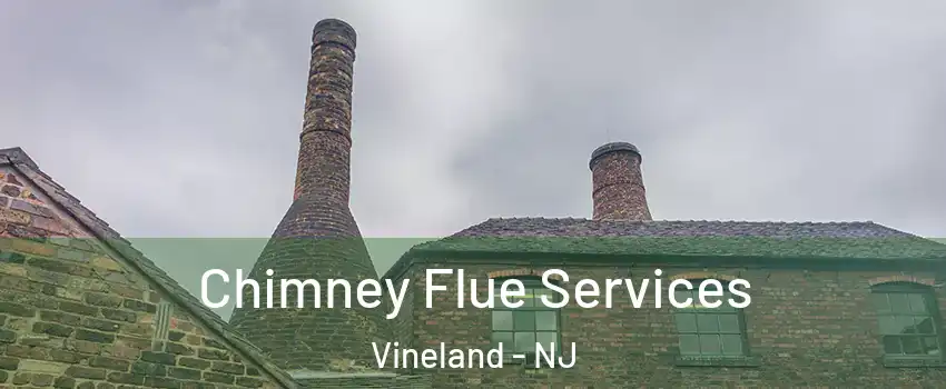  Chimney Flue Services Vineland - NJ
