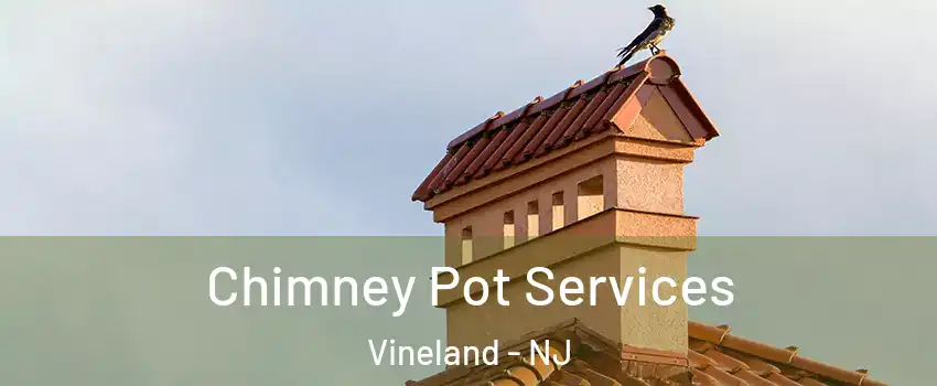  Chimney Pot Services Vineland - NJ