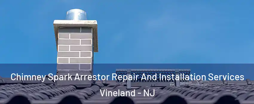  Chimney Spark Arrestor Repair And Installation Services Vineland - NJ