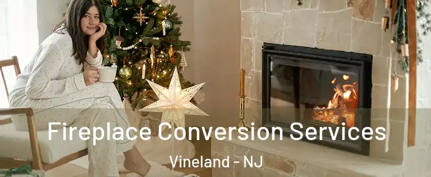  Fireplace Conversion Services Vineland - NJ