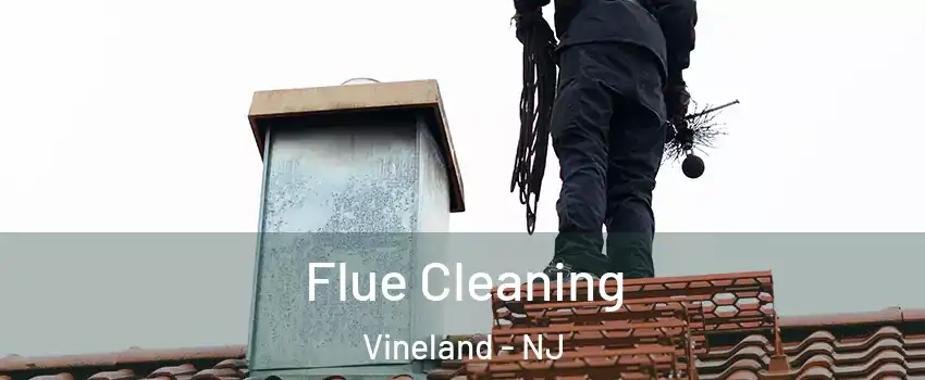  Flue Cleaning Vineland - NJ