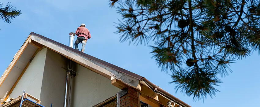 Birds Removal Contractors from Chimney in Vineland, NJ