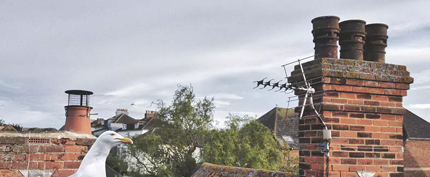 Chimney Cleaning And Restoration in Vineland, New Jersey
