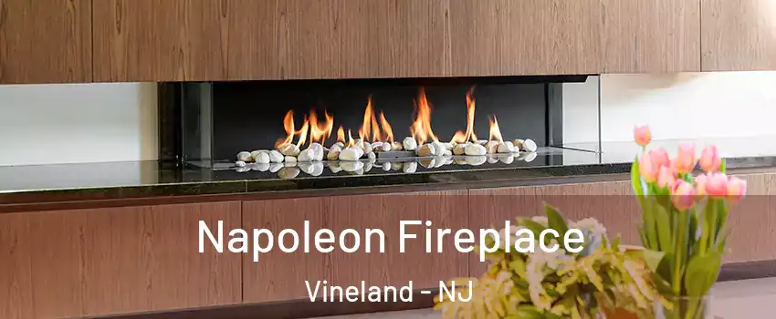  Napoleon Fireplace Vineland - NJ